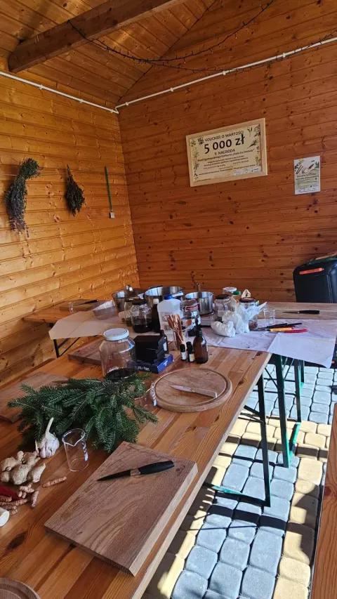 Warsztaty 19.10.2025