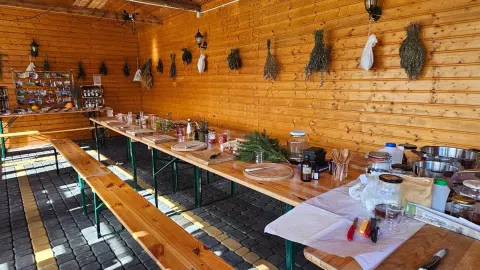 Warsztaty 19.10.2025