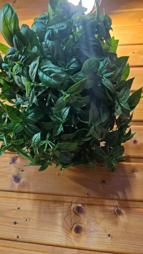 Aktualności z dnia 28.08.2025