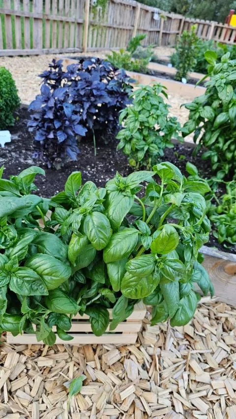 Aktualności z dnia 28.08.2025